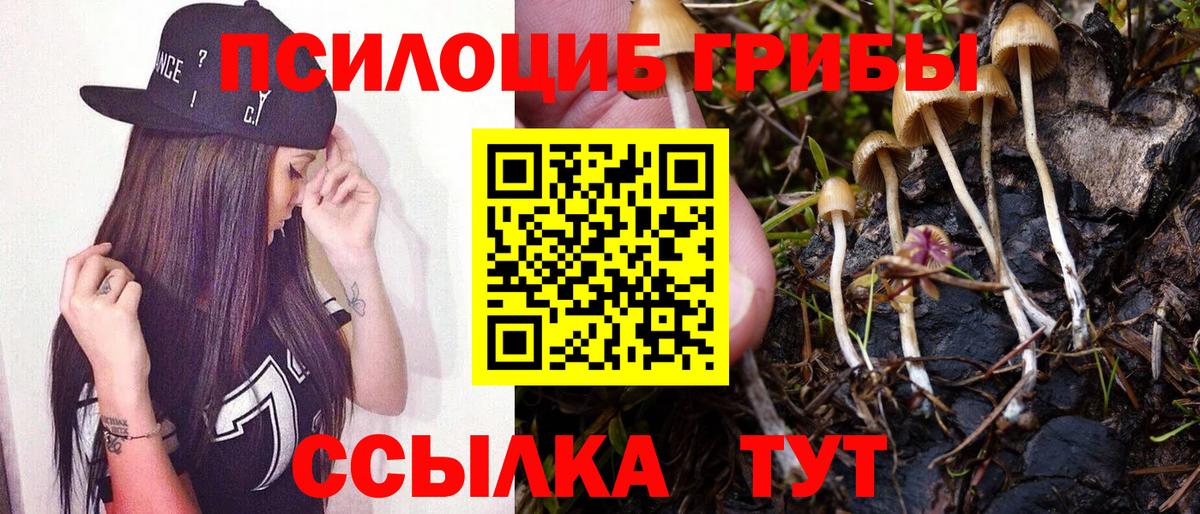 Псилоцибиновые грибы мицелий Киселёвск