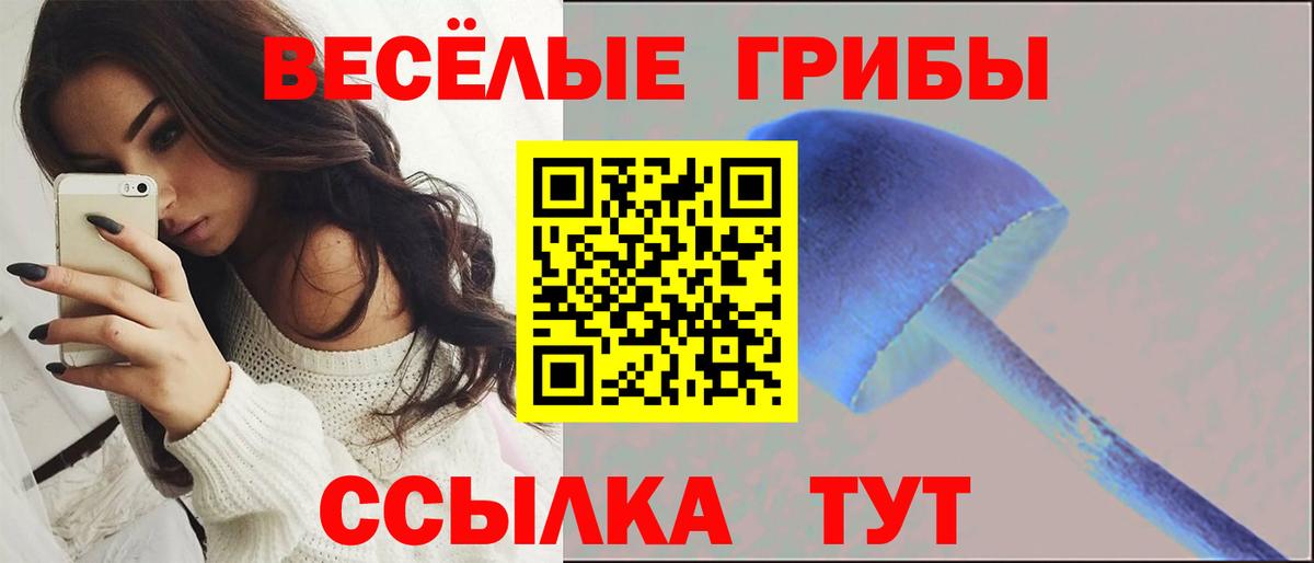 Галлюциногенные грибы мицелий  Вход с VPN  закладка  Киселёвск 